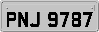 PNJ9787