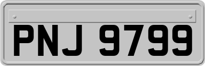 PNJ9799