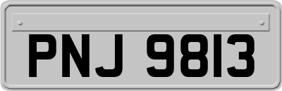 PNJ9813