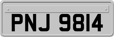 PNJ9814