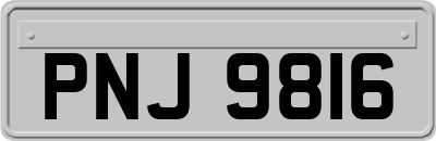 PNJ9816