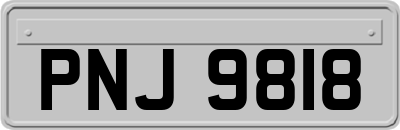 PNJ9818