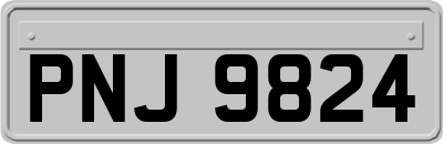 PNJ9824