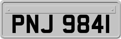 PNJ9841