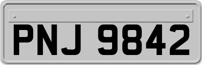 PNJ9842