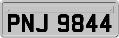 PNJ9844