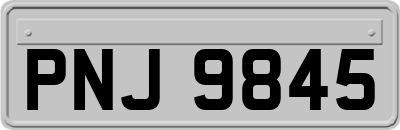 PNJ9845
