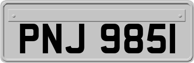 PNJ9851