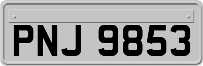 PNJ9853