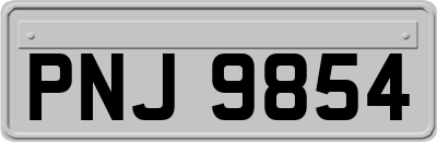 PNJ9854