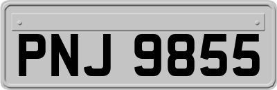 PNJ9855