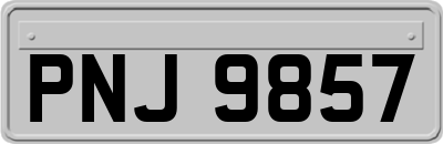 PNJ9857