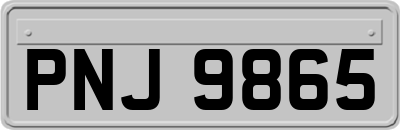 PNJ9865