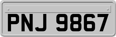 PNJ9867