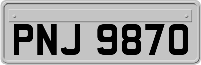 PNJ9870