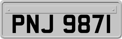 PNJ9871