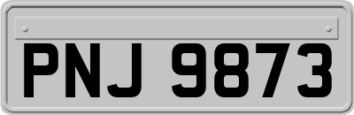 PNJ9873