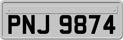 PNJ9874