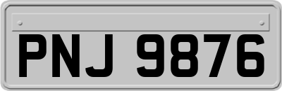PNJ9876