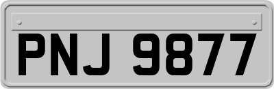 PNJ9877