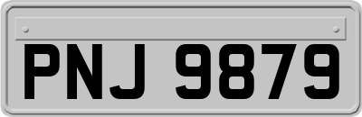 PNJ9879
