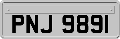 PNJ9891