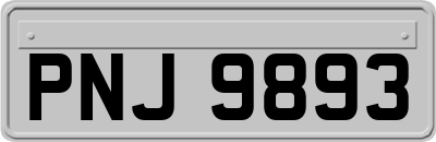 PNJ9893
