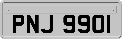 PNJ9901