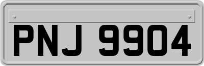 PNJ9904