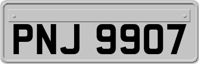 PNJ9907