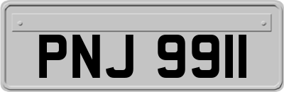 PNJ9911