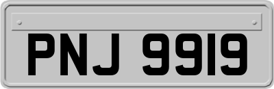 PNJ9919