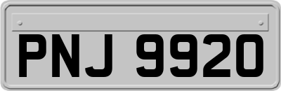 PNJ9920
