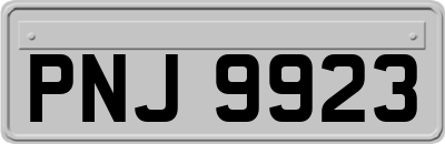 PNJ9923