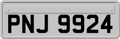PNJ9924