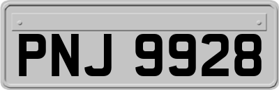 PNJ9928