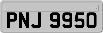 PNJ9950