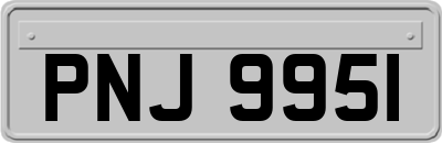 PNJ9951