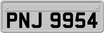 PNJ9954
