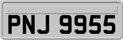 PNJ9955
