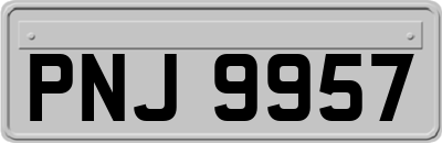 PNJ9957