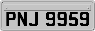PNJ9959