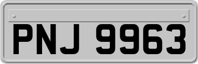 PNJ9963