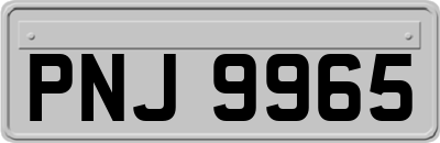 PNJ9965