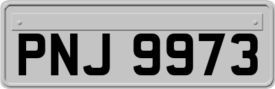 PNJ9973
