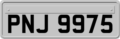 PNJ9975