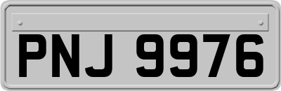 PNJ9976