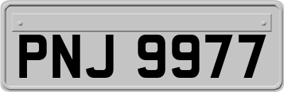 PNJ9977