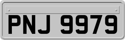 PNJ9979
