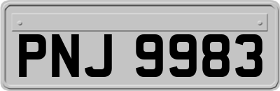 PNJ9983